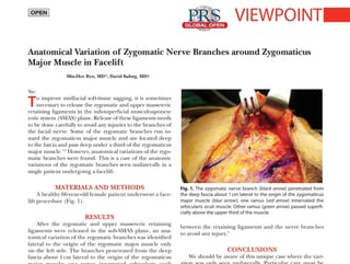 Original image from “Dr Ryu's Paper in PRS GO 2017”.
