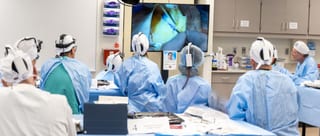 Photograph 9 accompanying the article “Faculty in MAFAC Mayo Clinic 2025”.