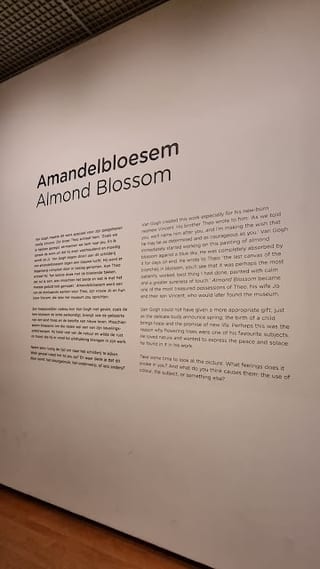 Photograph 25 accompanying the article “Faculty in Amsterdam MAFAC 2024”.