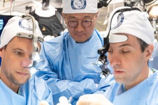 Photograph 12 accompanying the article “Faculty in MAFAC Mayo Clinic 2025”.
