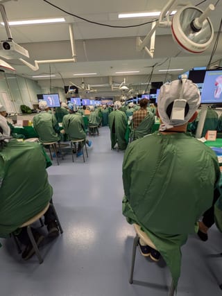 Photograph 4 accompanying the article “Faculty in Amsterdam MAFAC 2025”.